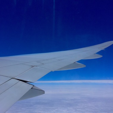 Fly to the world/北區