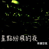 星點紛飛的夜