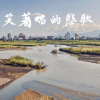 笑著唱的悲歌