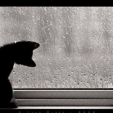 下雨歌 - rainy song
