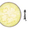 溫泉