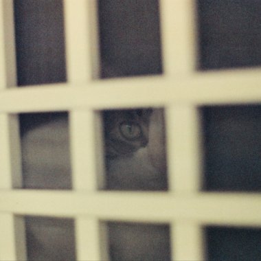 最棒的那一個 （demo)