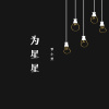 我是星星的孩子