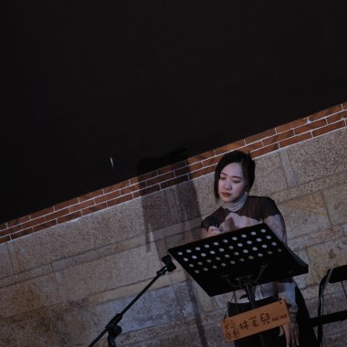 就讓這大雨全都落下 cover