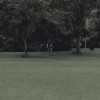 Totally Different - inst.