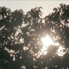 一起走吧 (demo)