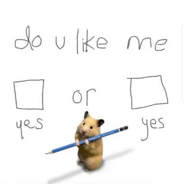 fun