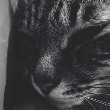 任性