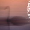 阴天