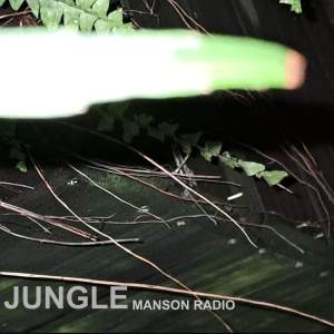 jungle