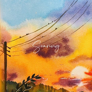 Soaring