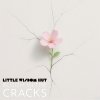Bloom in the Cracks