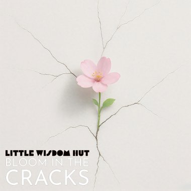 Bloom in the Cracks