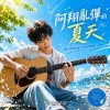 阿翔亂彈的夏天（Ah-Hsiang_s Summer Jam）