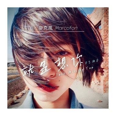 就是想你 Just Missing You