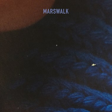 Mars Walk