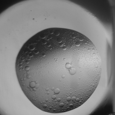 MassMan 出甑_How do you clean a cask (Rough Demo, Unmastered)