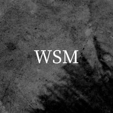 Why So Mess
