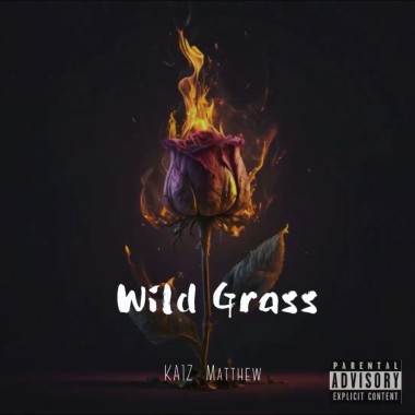 野草（KA1Z X 雪飛Matthew）