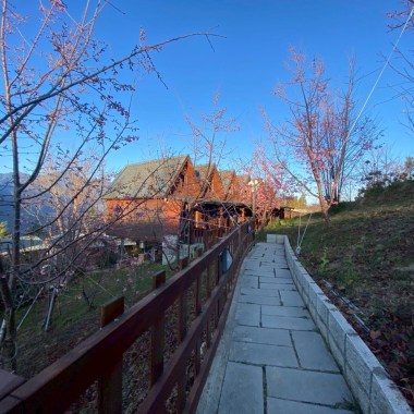 林間頌缽靜心曲