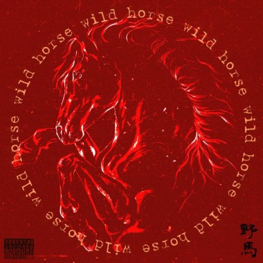 野馬 Wild horse