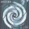 消失的潭美