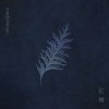 紅檜 | Formosensis (demo 2023)