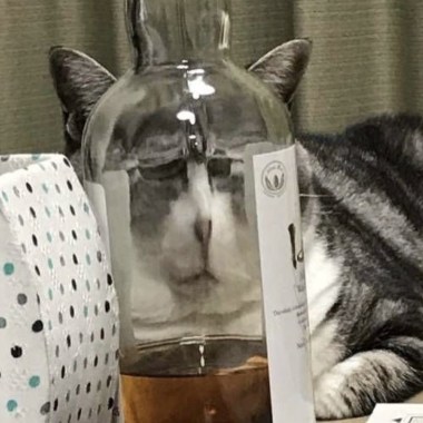 今晚的一杯酒