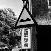 忘妄惘