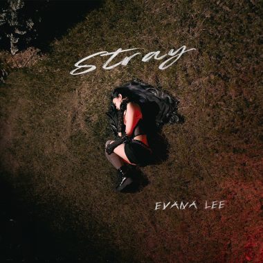 Stray
