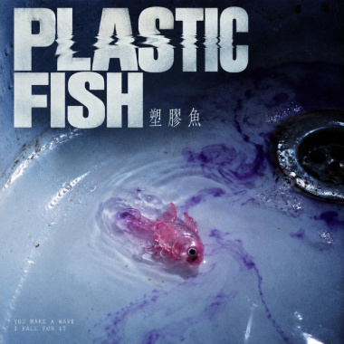 Plastic Fish