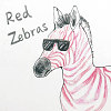 Red Zebras (acoustic demo)