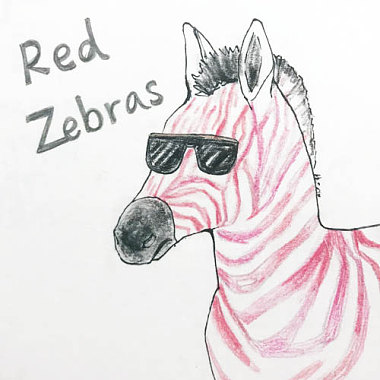 Red Zebras (acoustic demo)