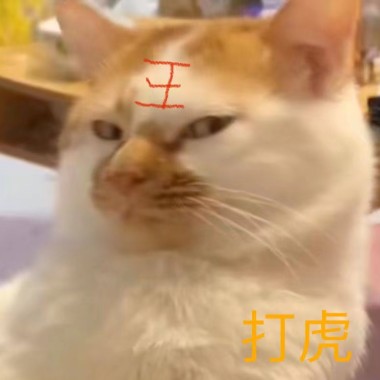打虎-开光乐队