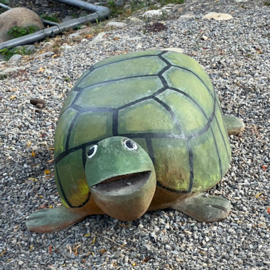 7-50的浪漫 (prod. by索尼相機)