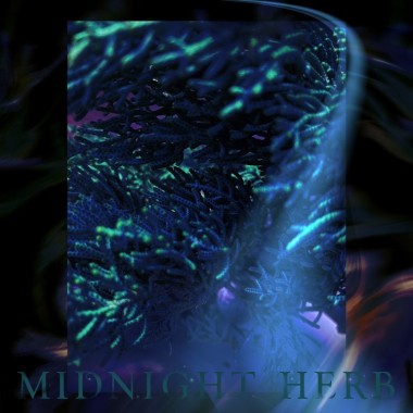 連夜逃跑 Runaways