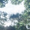 一首署名遠方的歌