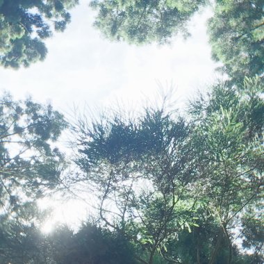 一首署名遠方的歌