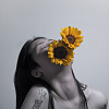 Sunflower (demo)
