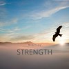 曙光 Strength