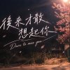 後來才敢想起你