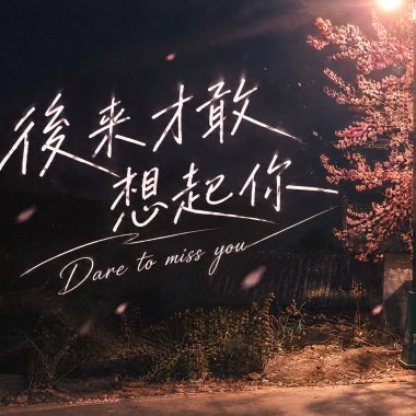 後來才敢想起你