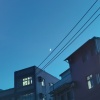 日子和我都很難過