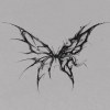 Butterfly 蝴蝶🦋