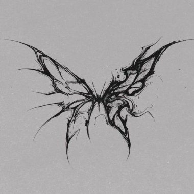 Butterfly 蝴蝶🦋
