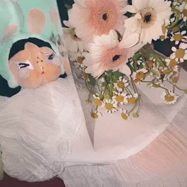 我怎麼可能放得下妳我騙妳的我騙妳的