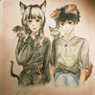 三朵非洲菊是我愛妳的意思