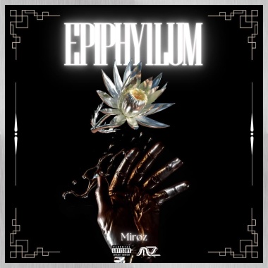EPIPHY1LUM