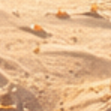 記得某年的夏天