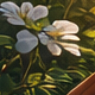 chasing dream  夢尋